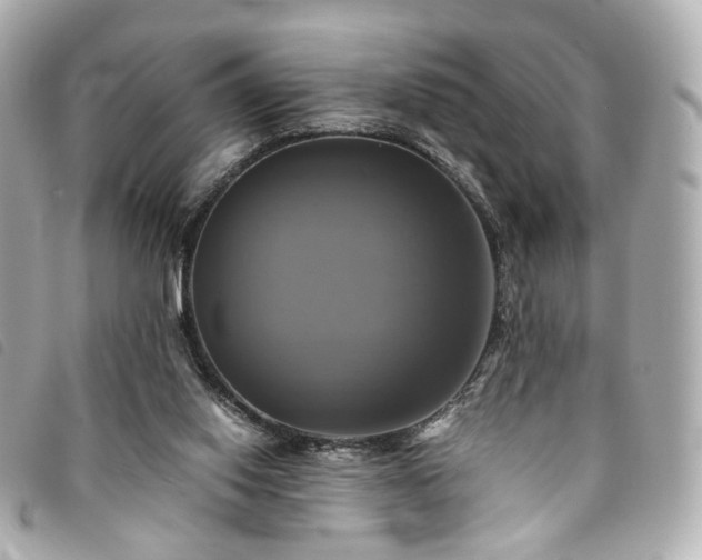 X0000094220062200710261238