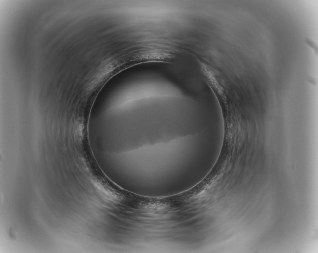 X0000094220063200710261238