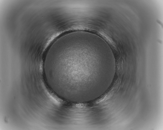 X0000094220064200710261238