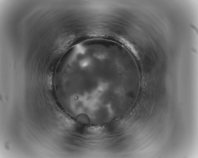 X0000094220065200710261238