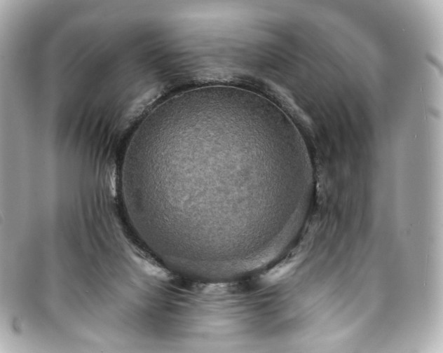 X0000094220068200710261238