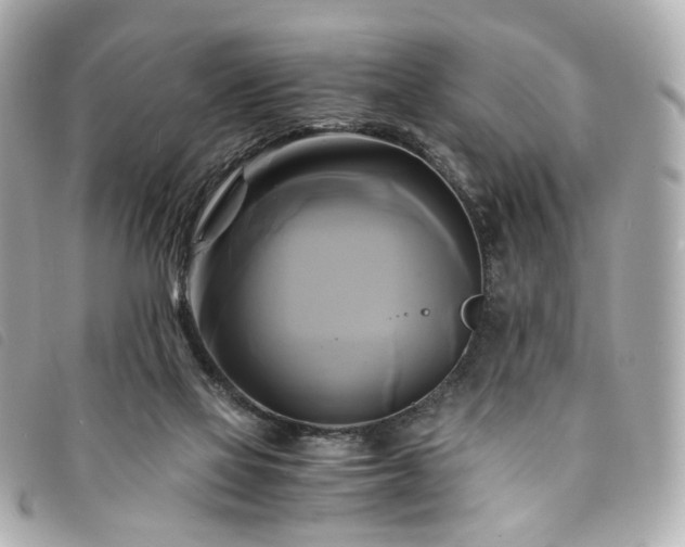 X0000094220069200710261238