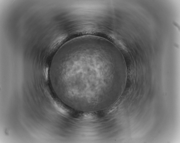 X0000094220070200710261238