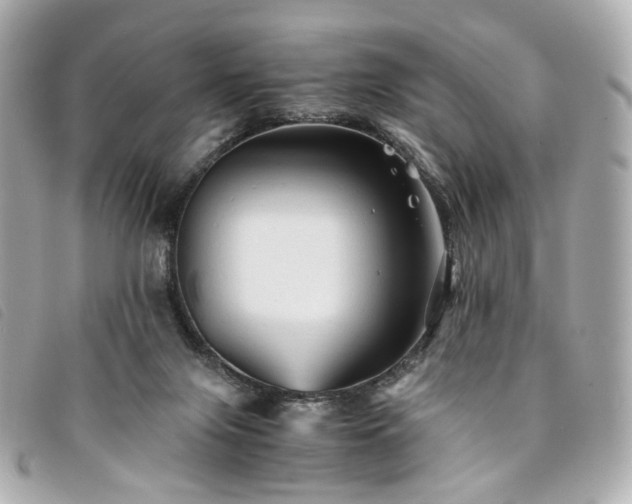 X0000094220071200710261238