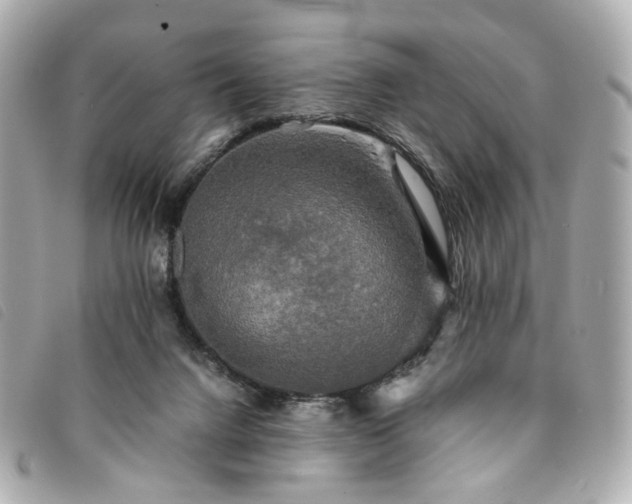 X0000094220072200710261238