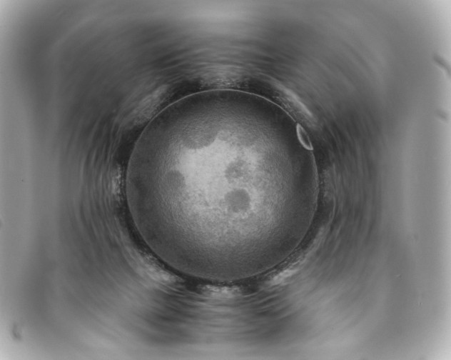 X0000094220073200710261238