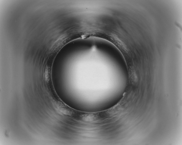 X0000094220074200710261238