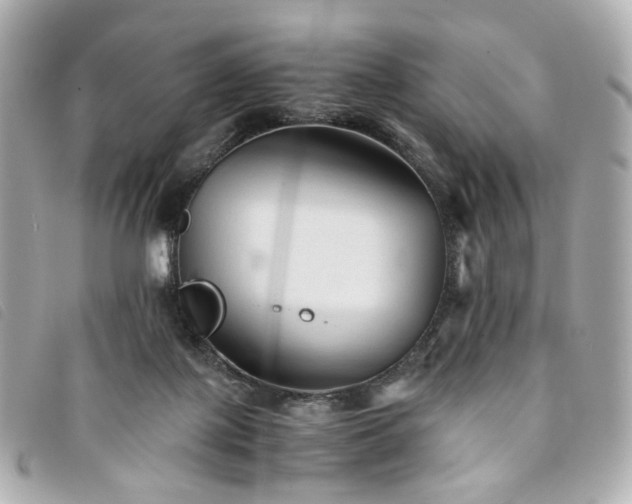 X0000094220075200710261238