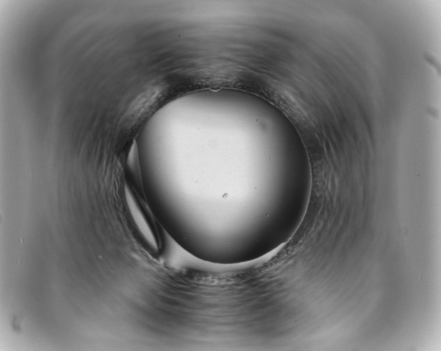 X0000094220077200710261238