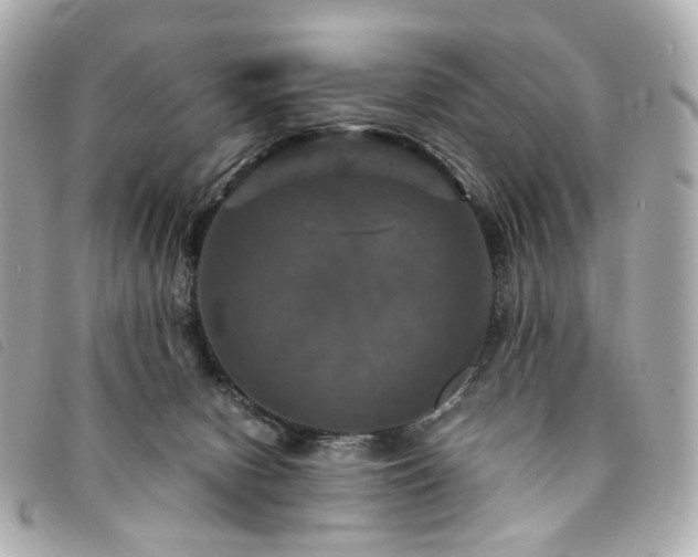 X0000094220078200710261238