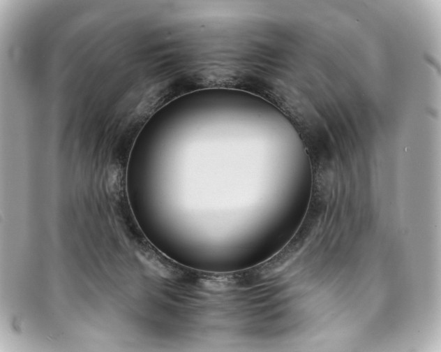 X0000094220079200710261238