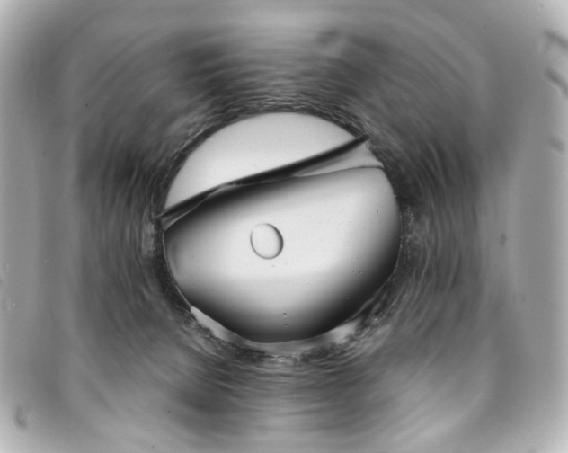 X0000094220080200710261238