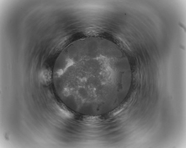 X0000094220081200710261238