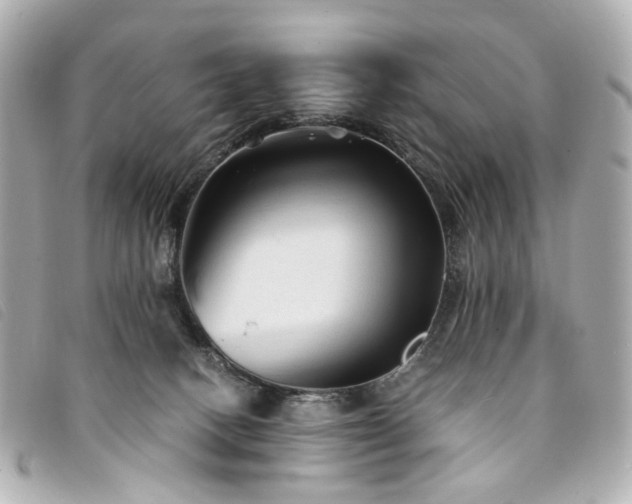 X0000094220082200710261238