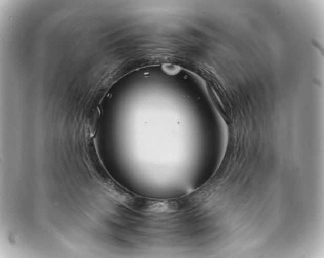 X0000094220083200710261238