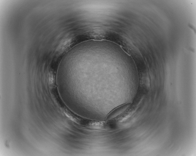 X0000094220084200710261238