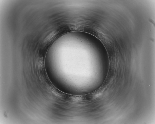 X0000094220085200710261238