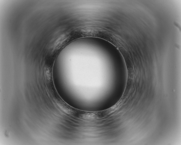 X0000094220086200710261238