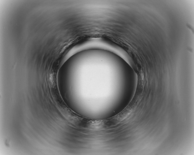 X0000094220088200710261238