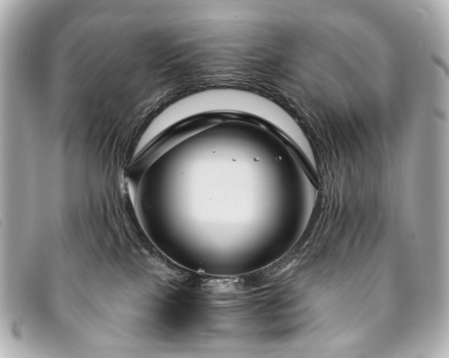 X0000094220089200710261238