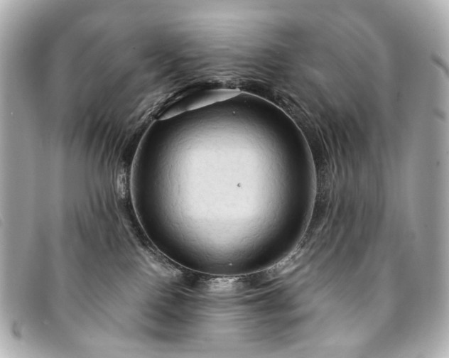 X0000094220090200710261238