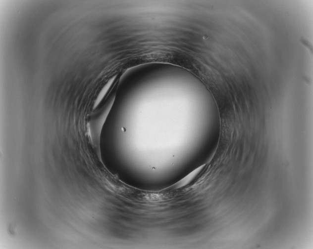 X0000094220091200710261238