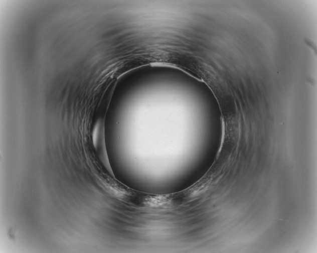 X0000094220092200710261238