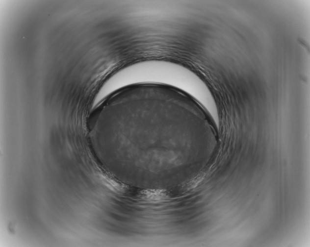 X0000094220093200710261238