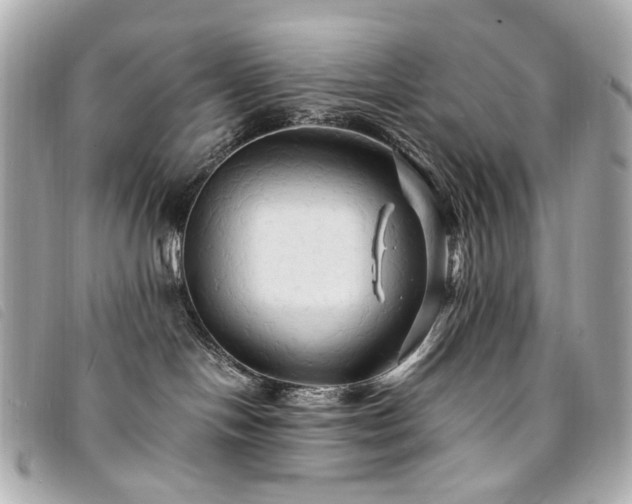 X0000094220094200710261238