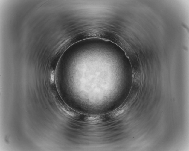 X0000094220095200710261238