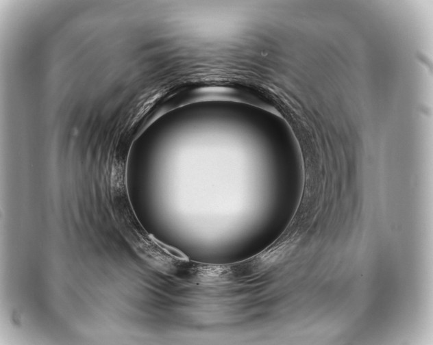 X0000094220096200710261238