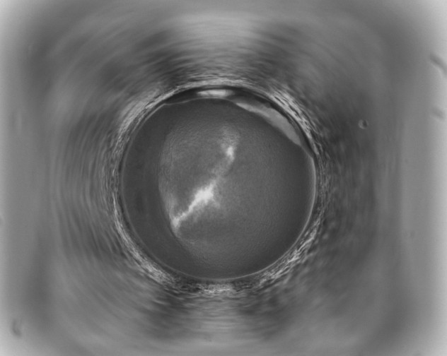 X0000094220097200710261237