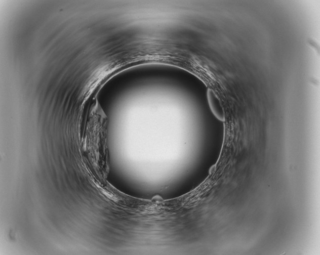 X0000094220098200710261237