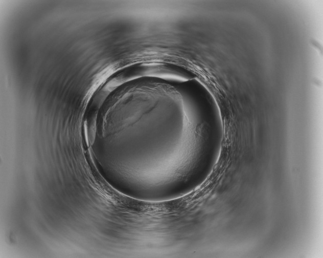 X0000094220099200710261237