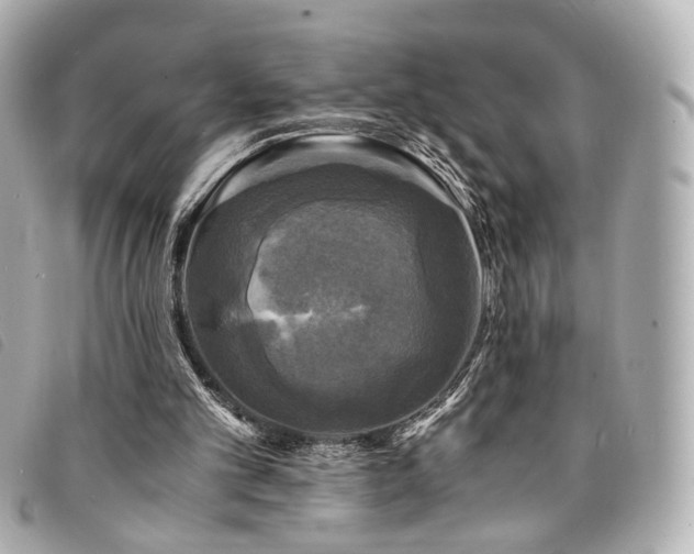 X0000094220101200710261237