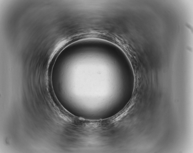 X0000094220102200710261237