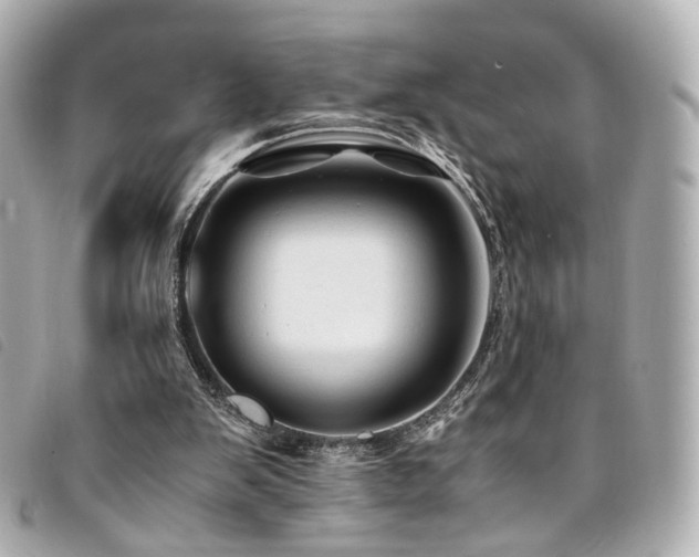 X0000094220103200710261237