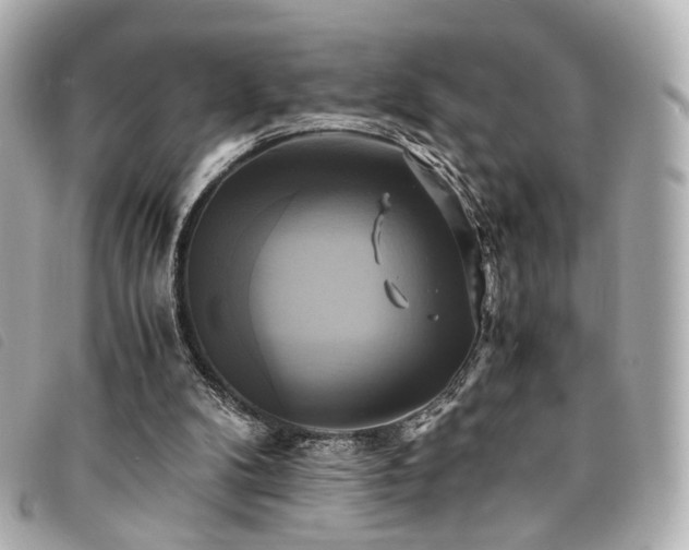 X0000094220104200710261237