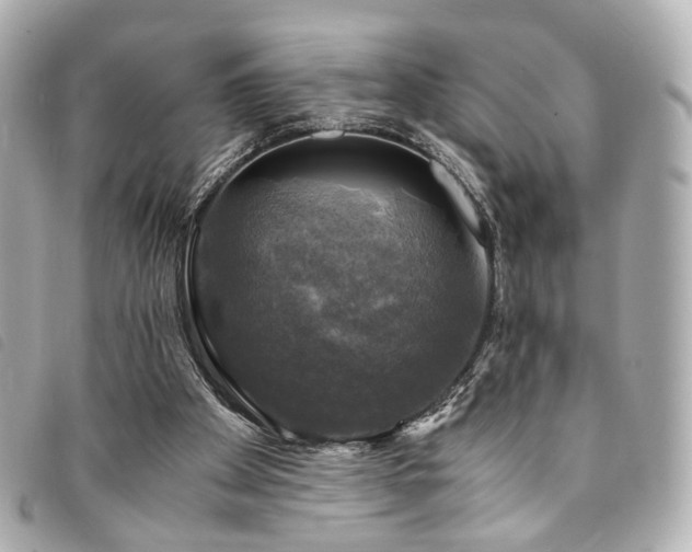 X0000094220105200710261237