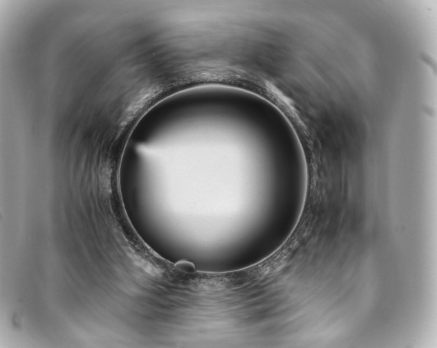 X0000094220106200710261237