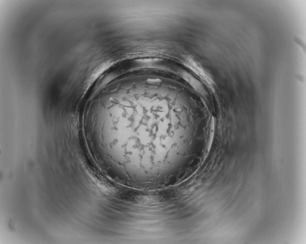 X0000094220107200710261237