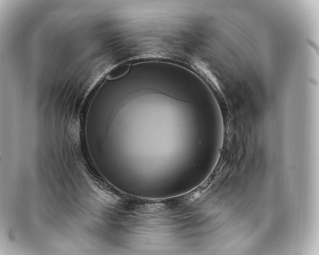 X0000094220108200710261237