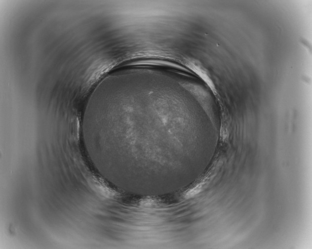 X0000094220109200710261237