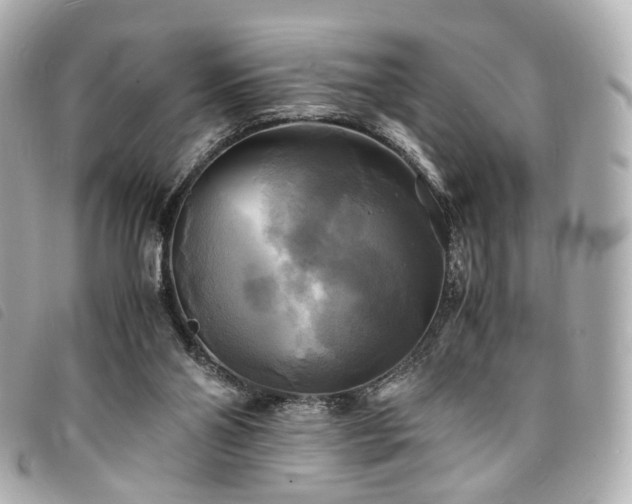 X0000094220110200710261237