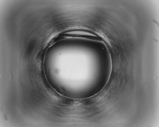 X0000094220111200710261237