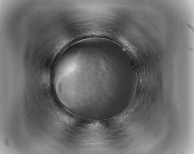 X0000094220112200710261237