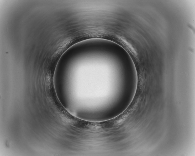 X0000094220113200710261237