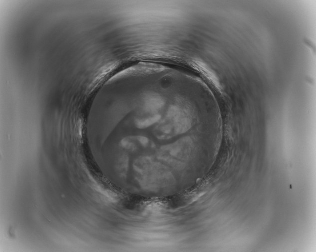 X0000094220115200710261237