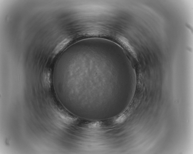 X0000094220116200710261237