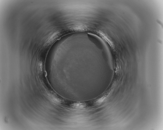 X0000094220117200710261237